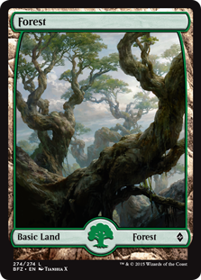 (image for) Forest (274) - Full Art
